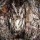 Illustration for article titled Here Are National Geographic Travelers Best Photos of 2013